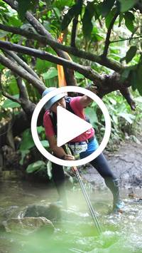 BIB:  <button type="button" onclick="openModal(27477808)" class="btn btn-primary btn-sm float-right" data-toggle="modal" data-target=".modal-high-quality">
                <i class="fa fa-download"></i> Download
                </button>